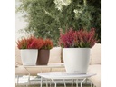 Lechuza Pflanzentopf CLASSICO Color 21 Braun