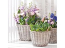 Opiflor Weidenkorb Hessen, 34 cm Grau