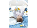 fehn Krabbeldecke mit Spielbogen Little Castle