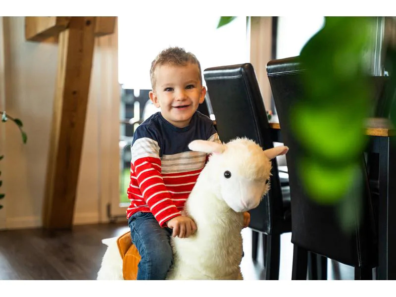 zoosy Reittier Lama
