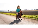 zoosy Reittier Pferd Gr. M