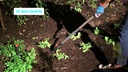 Gardena Dachrinnenreiniger Combisystem