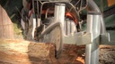 Wolfcraft Sägebock SB 60 bis 100 kg