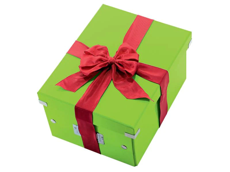 Leitz Aufbewahrungsbox Click &amp; Store A4 Grün