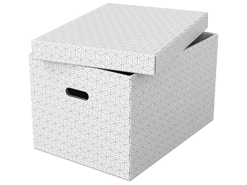 Leitz Aufbewahrungsbox Esselte Home L Gross, 3 Stück, Grau