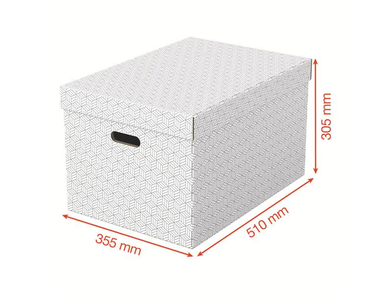 Leitz Aufbewahrungsbox Esselte Home L Gross, 3 Stück, Grau