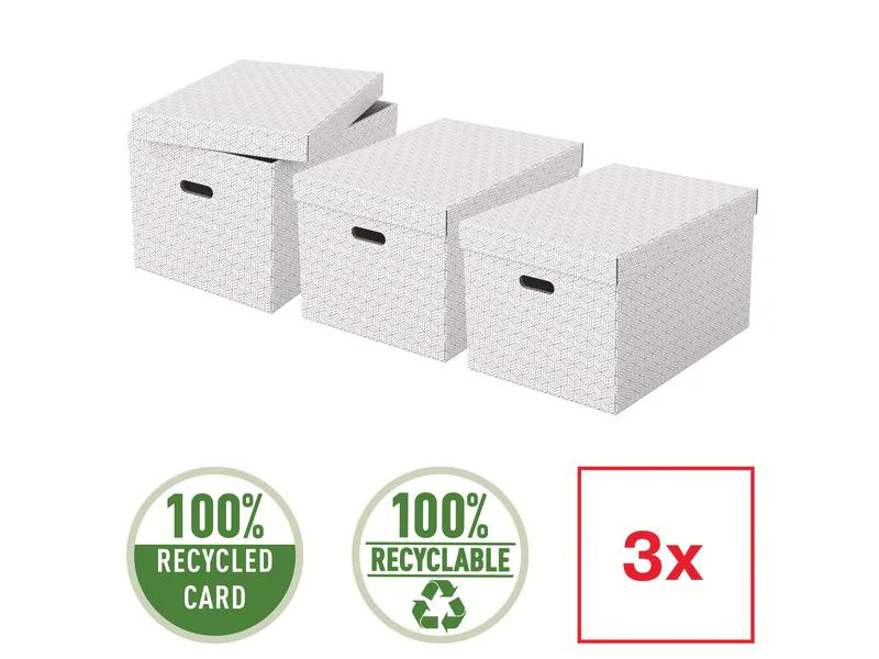 Leitz Aufbewahrungsbox Esselte Home L Gross, 3 Stück, Grau