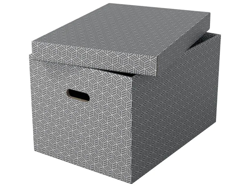 Leitz Aufbewahrungsbox Esselte Home L Gross, 3 Stück, Weiss