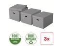 Leitz Aufbewahrungsbox Esselte Home L Gross, 3 Stück, Weiss