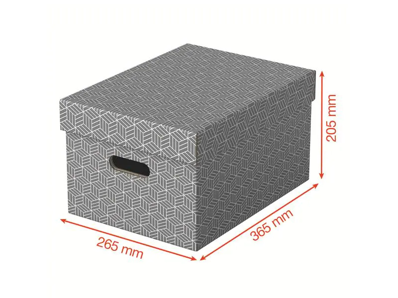 Leitz Aufbewahrungsbox Esselte Home M Mittel, 3 Stück, Grau