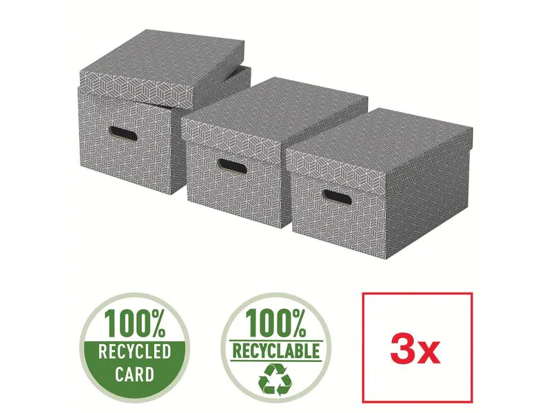 Leitz Aufbewahrungsbox Esselte Home M Mittel, 3 Stück, Grau