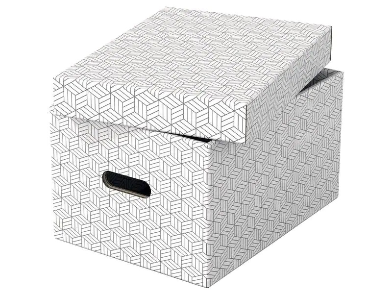 Leitz Aufbewahrungsbox Esselte Home M Mittel, 3 Stück, Weiss