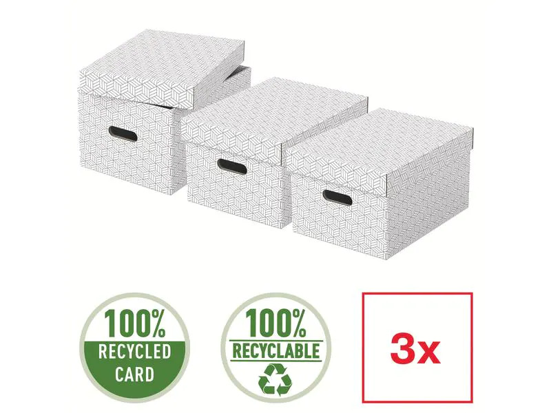 Leitz Aufbewahrungsbox Esselte Home M Mittel, 3 Stück, Weiss