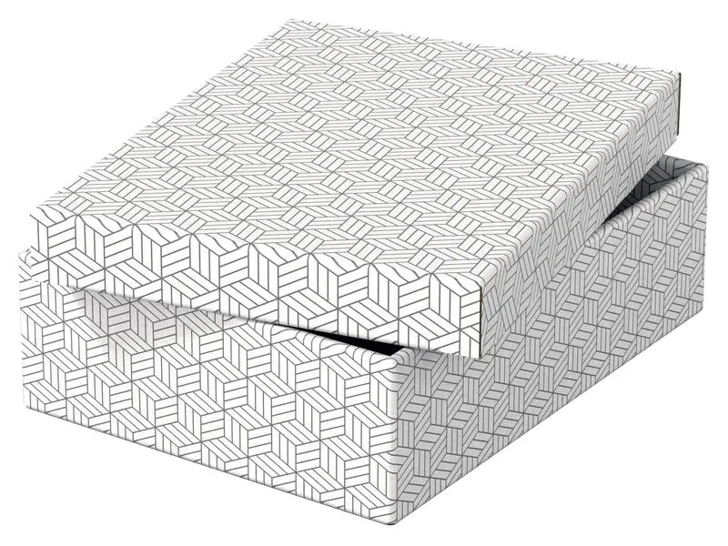 Leitz Aufbewahrungsbox Esselte Home M flach Mittel, 3 Stück, Grau