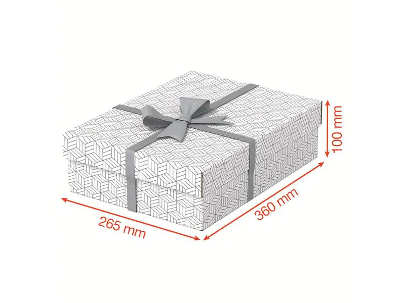 Leitz Aufbewahrungsbox Esselte Home M flach Mittel, 3 Stück, Grau