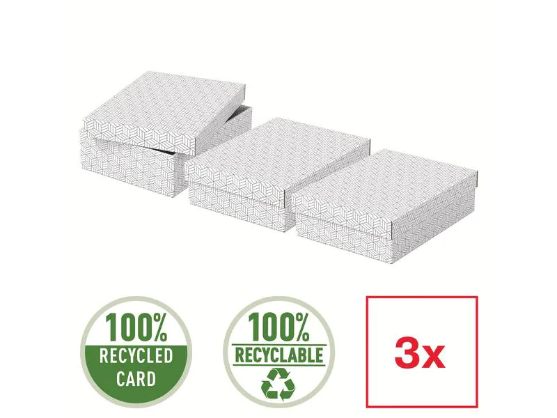 Leitz Aufbewahrungsbox Esselte Home M flach Mittel, 3 Stück, Grau