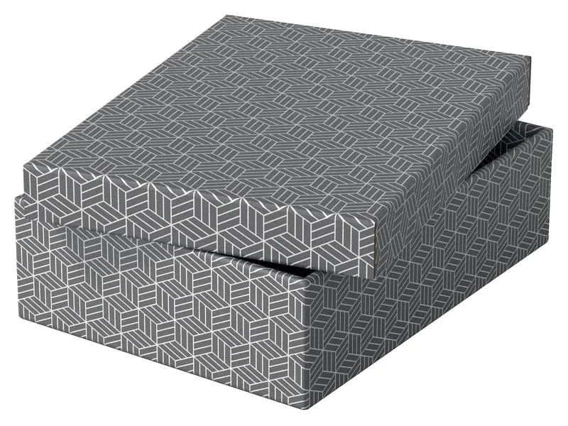 Leitz Aufbewahrungsbox Esselte Home M flach Mittel, 3 Stück, Weiss