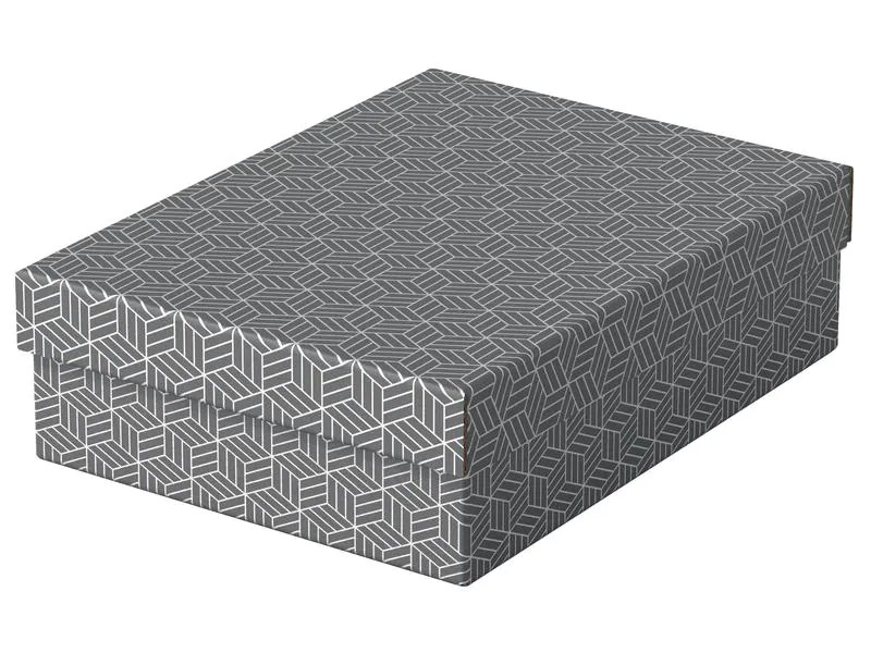 Leitz Aufbewahrungsbox Esselte Home M flach Mittel, 3 Stück, Weiss