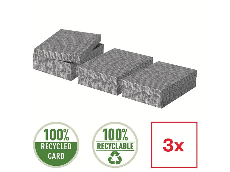 Leitz Aufbewahrungsbox Esselte Home M flach Mittel, 3 Stück, Weiss