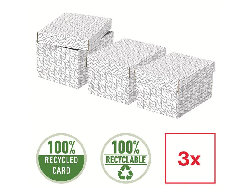 Leitz Aufbewahrungsbox Esselte Home S Klein, 3 Stück, Grau