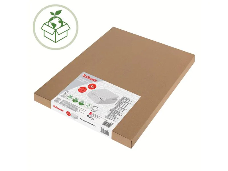 Leitz Aufbewahrungsbox Esselte Home S Klein, 3 Stück, Grau
