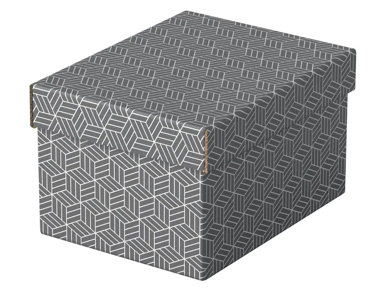 Leitz Aufbewahrungsbox Esselte Home S Klein, 3 Stück, Weiss