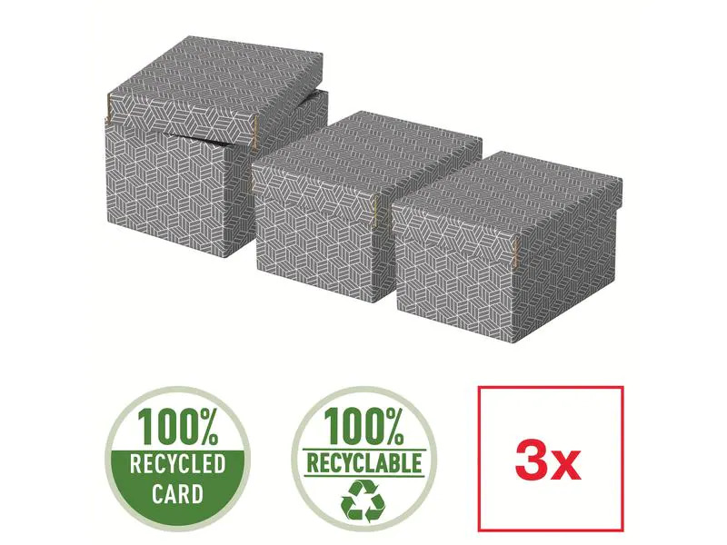 Leitz Aufbewahrungsbox Esselte Home S Klein, 3 Stück, Weiss