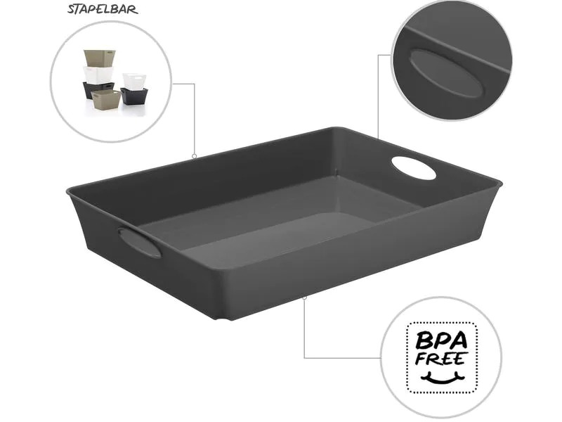 Rotho Aufbewahrungsbox Living Box C4 / 4.5 l Anthrazit