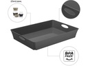 Rotho Aufbewahrungsbox Living Box C4 / 4.5 l Anthrazit