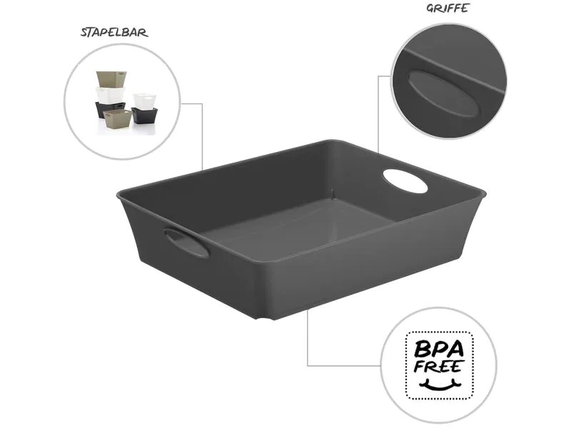 Rotho Aufbewahrungsbox Living Box C5 / 2.5 l Anthrazit