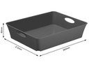 Rotho Aufbewahrungsbox Living Box C5 / 2.5 l Anthrazit