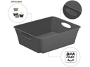 Rotho Aufbewahrungsbox Living Box C6 / 1 l Anthrazit
