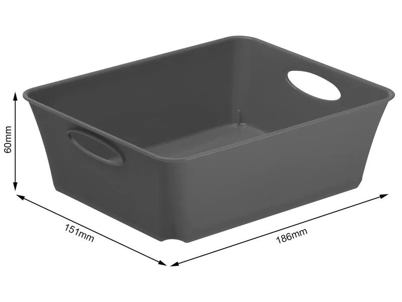 Rotho Aufbewahrungsbox Living Box C6 / 1 l Anthrazit
