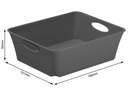 Rotho Aufbewahrungsbox Living Box C6 / 1 l Anthrazit