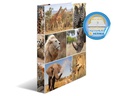 HERMA Ordner Afrika 2D 260 mm, Mehrfarbig