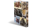 HERMA Ordner Afrika 2D 260 mm, Mehrfarbig