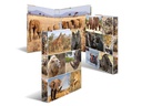 HERMA Ordner Afrika 2D 260 mm, Mehrfarbig