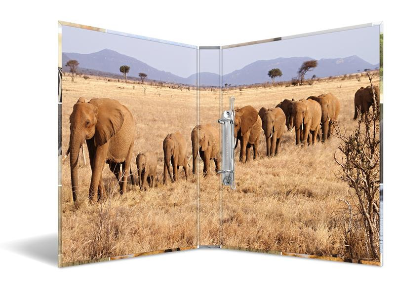 HERMA Ordner Afrika 2D 260 mm, Mehrfarbig