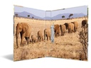 HERMA Ordner Afrika 2D 260 mm, Mehrfarbig