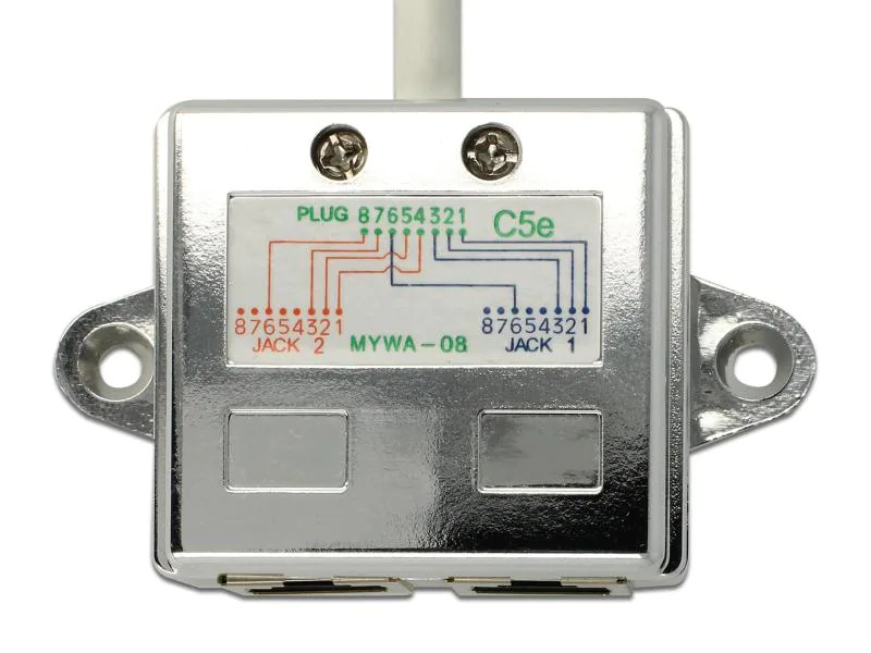 Delock Anschlussverdoppler 2x 100Mbps LAN 1 Stück