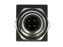 Delock Winkeladapter M12 4 Pin D Stecker - RJ45 Buchse 1 Stück