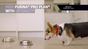 Purina Pro Plan Trockenfutter Medium &amp; Large Adult 7+, Huhn, 14 kg