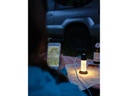 LED LENSER Laterne ML4