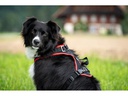 Grossenbacher Geschirr Vary L Schwarz