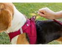 curli Geschirr Vest Air-Mesh 2XS, Ruby