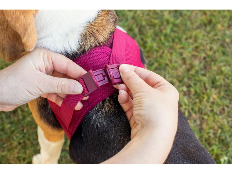 curli Geschirr Vest Air-Mesh XS, Fuchsia