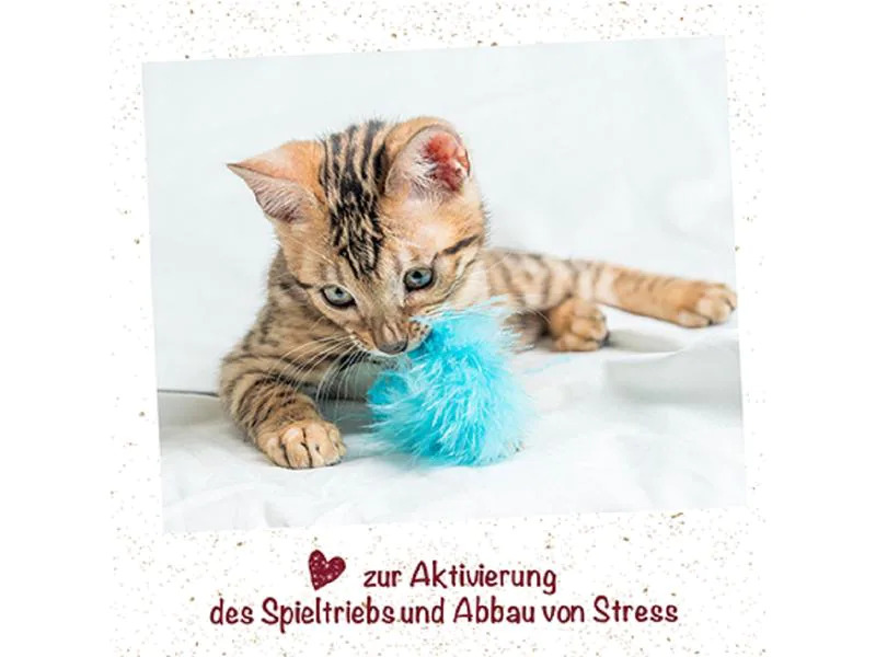 cdVet feliTATZ KatzenMinze Spray, 50 ml