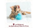 cdVet feliTATZ KatzenMinze Spray, 50 ml
