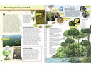 Ravensburger Kinder-Sachbuch WWW ProfiWissen: Die Erde