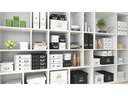 Leitz Schubladenbox Click &amp; Store Hellgrün